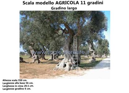 Scala in alluminio AGRICOLA 11 gradini con piedino snodabile misure