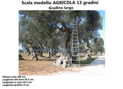 Scala in alluminio AGRICOLA 13 gradini con piedino snodabile misure